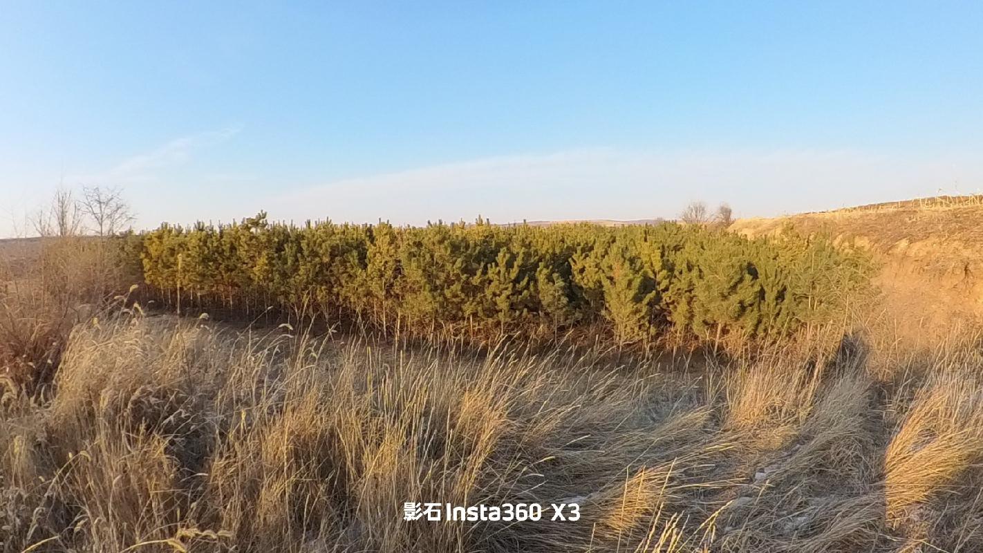 呼和浩特市清水河县五良太下窑村苗圃基地树苗公开询价