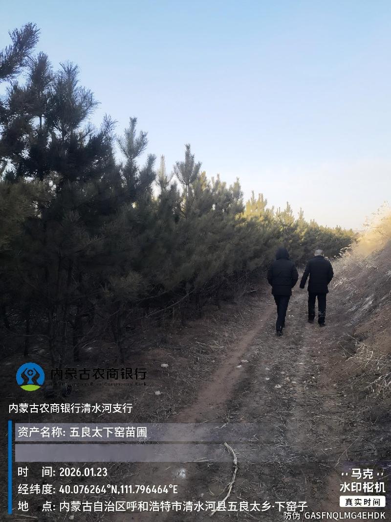 呼和浩特市清水河县五良太下窑村苗圃基地树苗公开询价