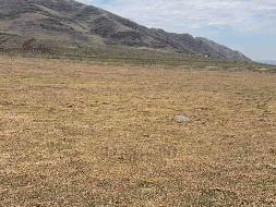 岷县岷州文旅发展(集团)有限公司 岷山种畜场土地租赁（2026年第一批）公告（第四次）