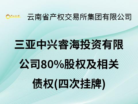 三亚中兴睿海投资有限公司80%股权及相关债权(四次挂牌)(国资监测编号G32025YN1000019-4)