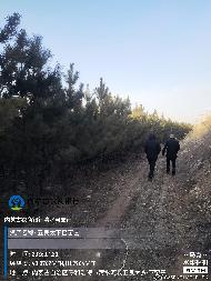 呼和浩特市清水河县五良太下窑村苗圃基地树苗公开询价