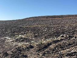 岷县岷州文旅发展(集团)有限公司 岷山种畜场土地租赁（2026年第一批）公告（第四次）