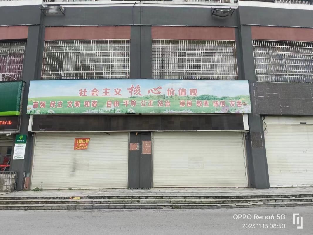 标的5：韶山市竹鸡塅阳光水岸A栋8号、9号门店(二次挂牌)