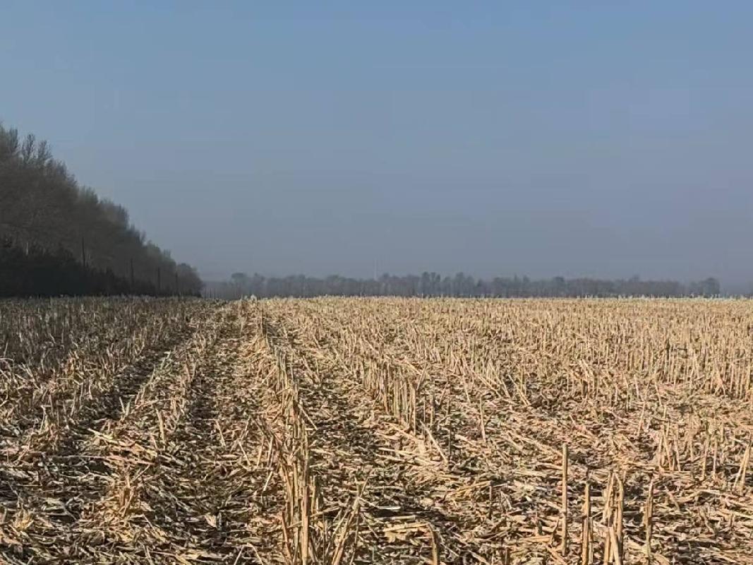 齐齐哈尔市克山县西河粮库有限责任公司1处耕地出租项目交易公告