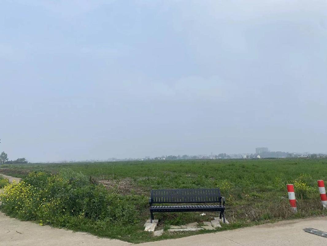 无为市泉塘镇三益村三益大河滩约120亩土地经营权出租（一次降价）公告