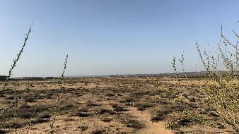 鄂尔多斯市准格尔旗大路新区两块工业用地土地使用权共同转让(国资监测编号GR2026NM1001586)