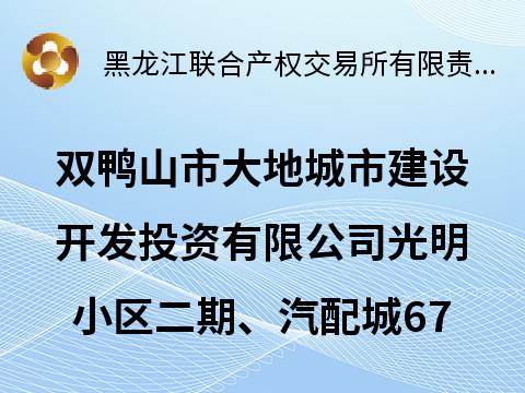 双鸭山市大地城市建设开发投资有限公司光明小区二期、汽配城67处房产分别出租交易公告