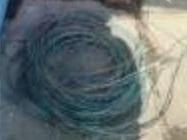 湖南天下洞庭粮油实业有限公司一批粮仓专用门窗等废旧物资(国资监测编号GR2026HN1000841)