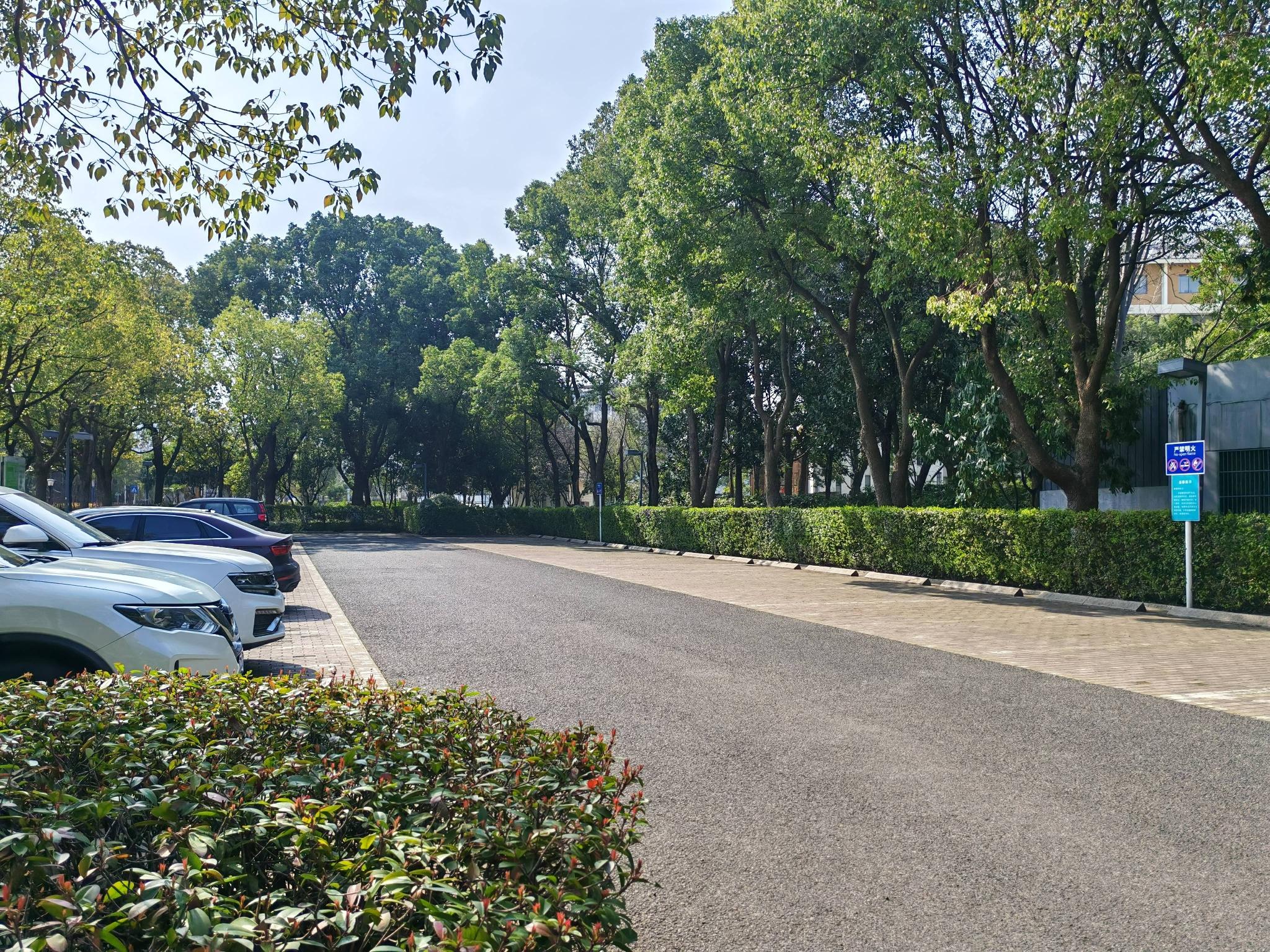 圩墩公园停车场车位招租公告