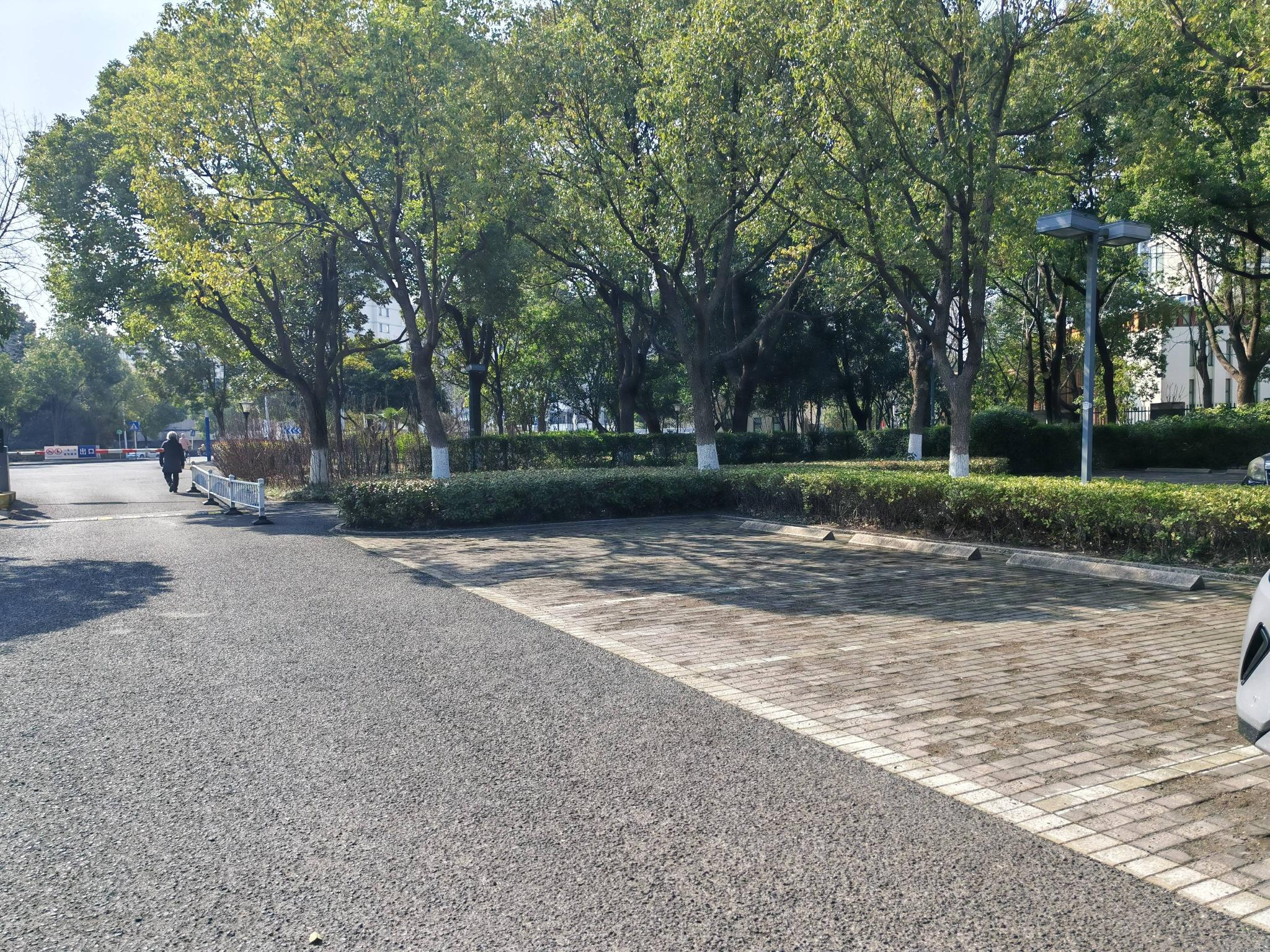 圩墩公园停车场车位招租公告