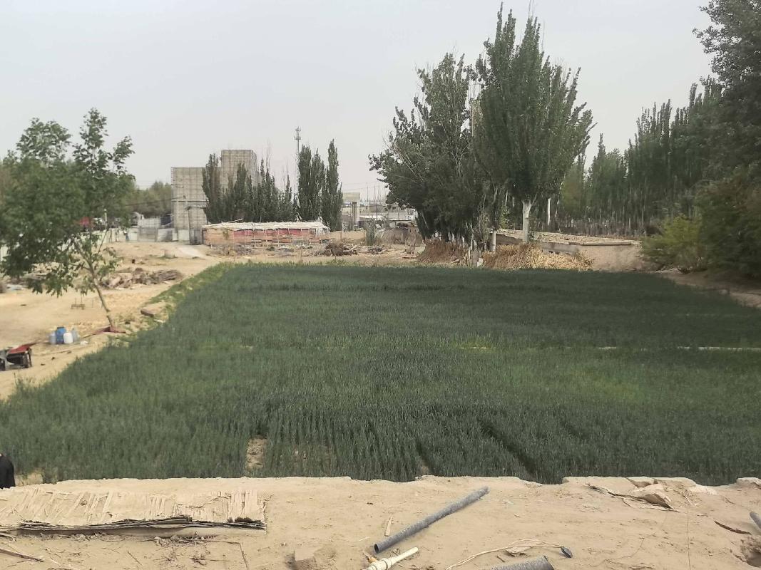 [和田地区]新疆生产建设兵团第十四师玉鼎天然气有限公司转让位于皮山县沙安村G315国道2620处南侧一宗商业用地土地使用权(二次挂牌)