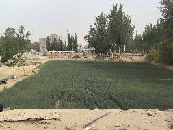 新疆生产建设兵团第十四师玉鼎天然气有限公司转让位于皮山县沙安村G315国道2620处南侧一宗商业用地土地使用权(国资监测编号GR2026XJ1000801)