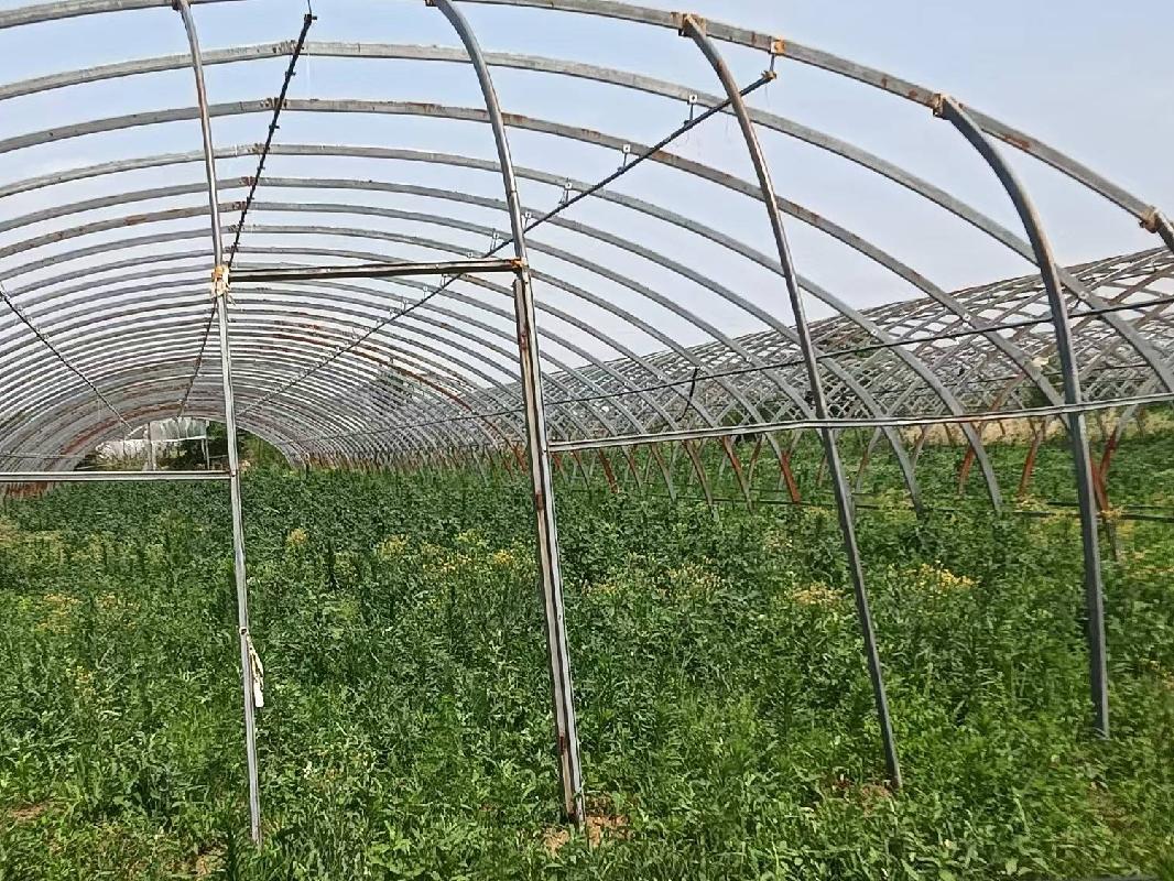 呼伦贝尔农垦那吉屯农牧场有限公司第三连队（蔬菜大棚）第五区10处塑料大棚（棚号：501-510)出租（租金底价：10000.00元/年，租期一年）(国资监测编号GR2026NM1001668)