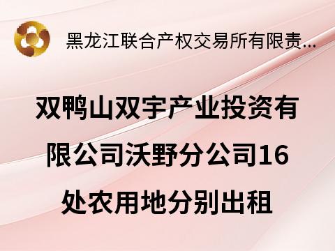 双鸭山双宇产业投资有限公司沃野分公司16处农用地分别出租交易公告