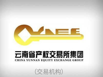 云南省交通规划设计研究院股份有限公司闲置资产及公务用车(国资监测编号GR2026YN1000206)