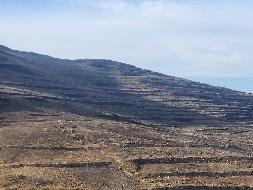 岷县岷州文旅发展(集团)有限公司 岷山种畜场土地租赁（2026年第二批）公告（第二次）