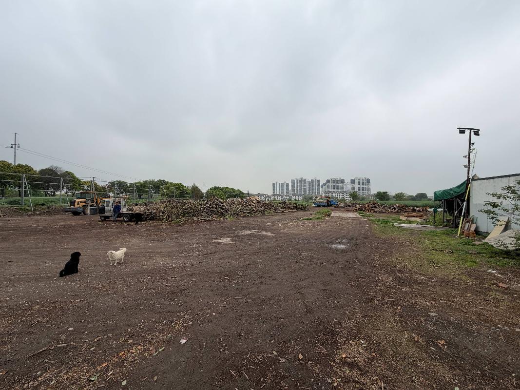 常州市武进区嘉泽镇墩上停车场场地招租公告(国资监测编号GR2026JS2001660)