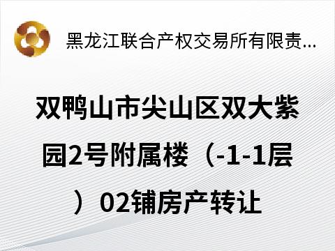 双鸭山市尖山区双大紫园2号附属楼（-1-1层）02铺房产转让交易公告(国资监测编号GR2026HL2002004)
