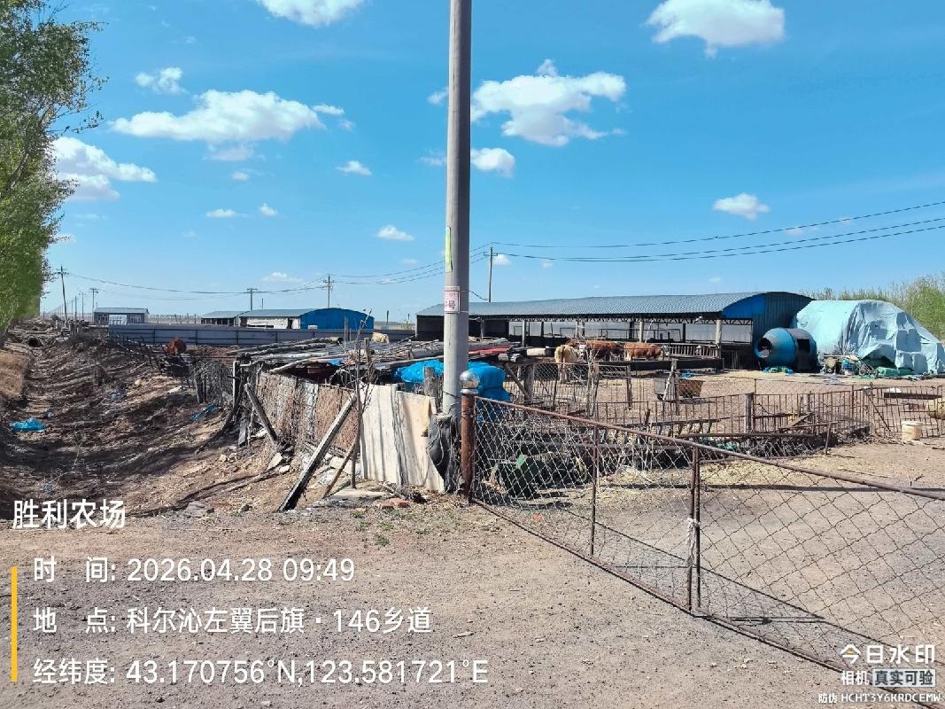 内蒙古自治区通辽市科尔沁左翼后期胜利农场三分厂约9053㎡土地使用权整体出租（年租金20368.8元，租期为5年）(国资监测编号GR2026NM1001709-2)