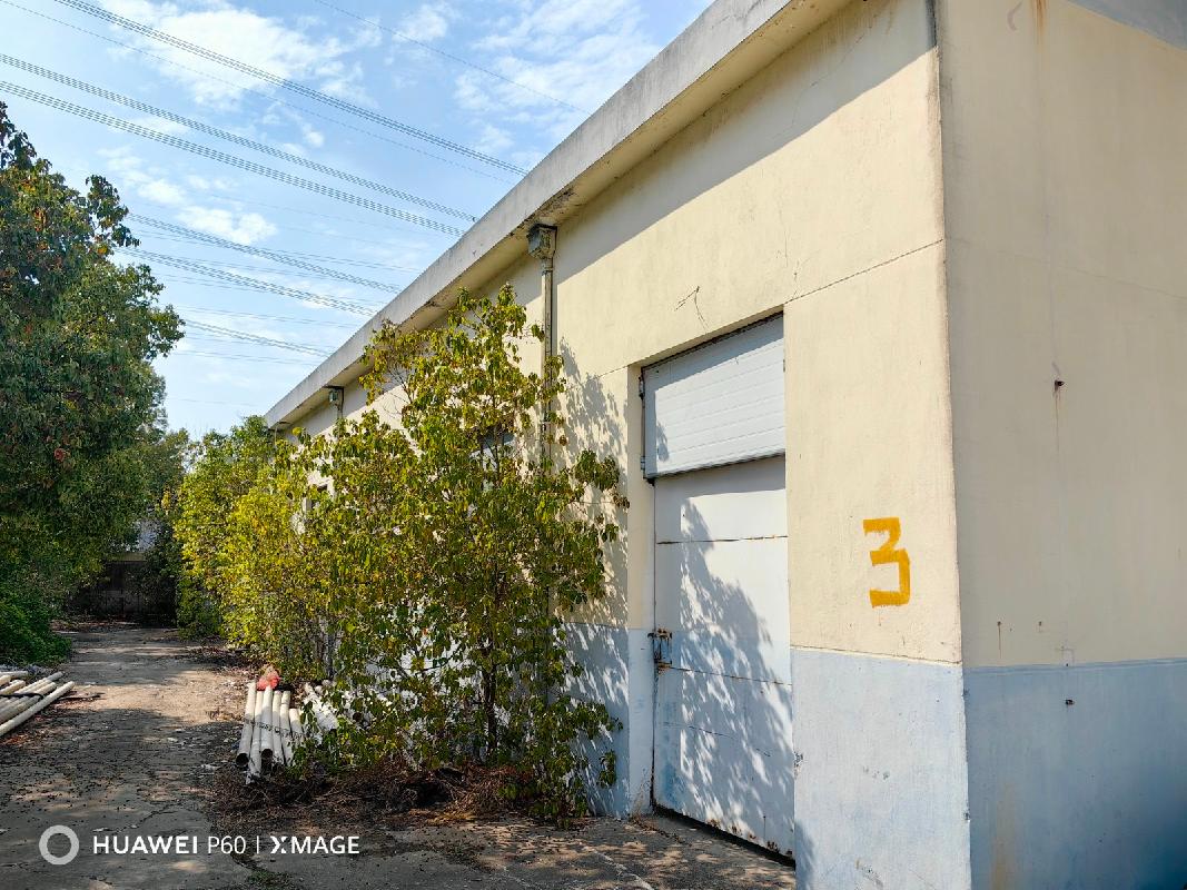 常州市天宁区郑陆镇省岸村委北沙河58号房屋、集体土地使用权及附属物转让公告(国资监测编号GR2026JS2001680)