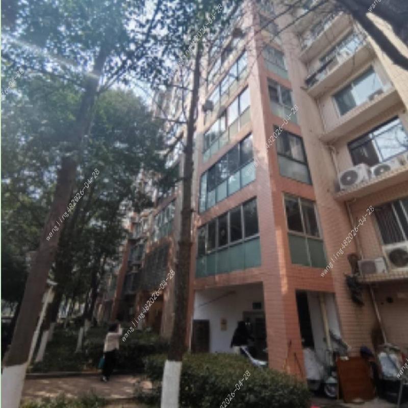 湖南财母土地开发有限公司华银园住宅资产招商公告(国资监测编号GR2026HN1000895)