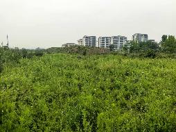 池州市天堂湖部分流转土地(约1,082.50亩)出租公告(国资监测编号GR2026AH2000902)