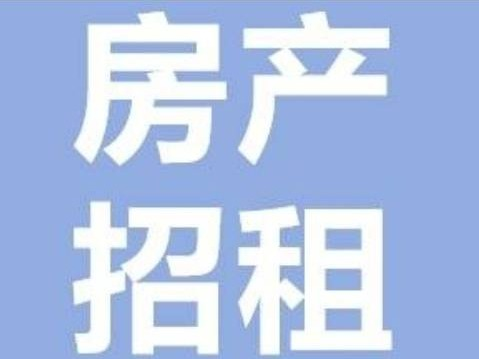 内蒙古煤炭地质勘查(集团)一一七有限公司位于乌海市海勃湾区25处房产招租
