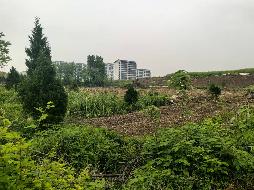 池州市天堂湖部分流转土地(约1,082.50亩)出租公告(国资监测编号GR2026AH2000902)