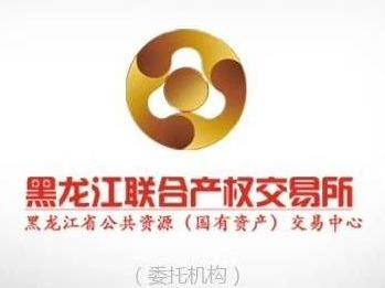 宾县宾西经济技术开发区土地使用权及地上建筑物等资产捆绑转让交易公告