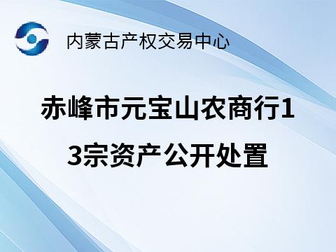 内蒙古农村商业银行股份有限公司赤峰元宝山区支行13宗资产转让