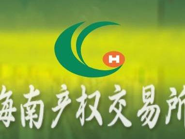 海南产权交易所内部调试标的