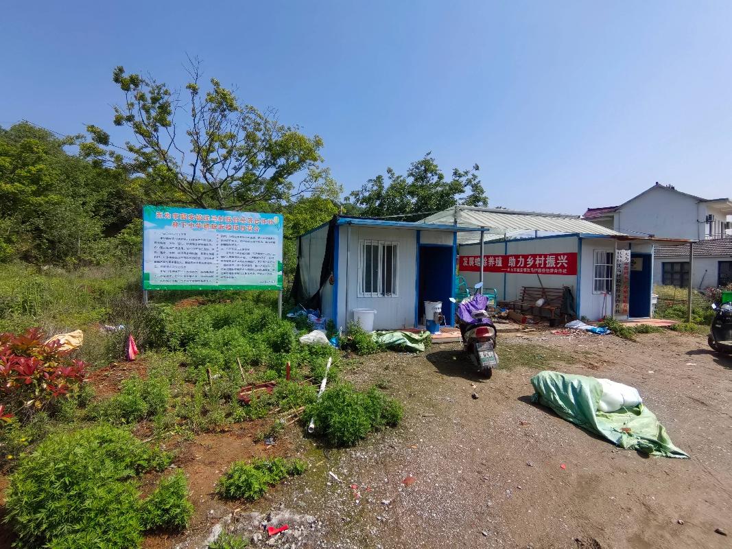 无为市襄安镇沈马村50.6亩蟾蜍基地及附属物出租公告