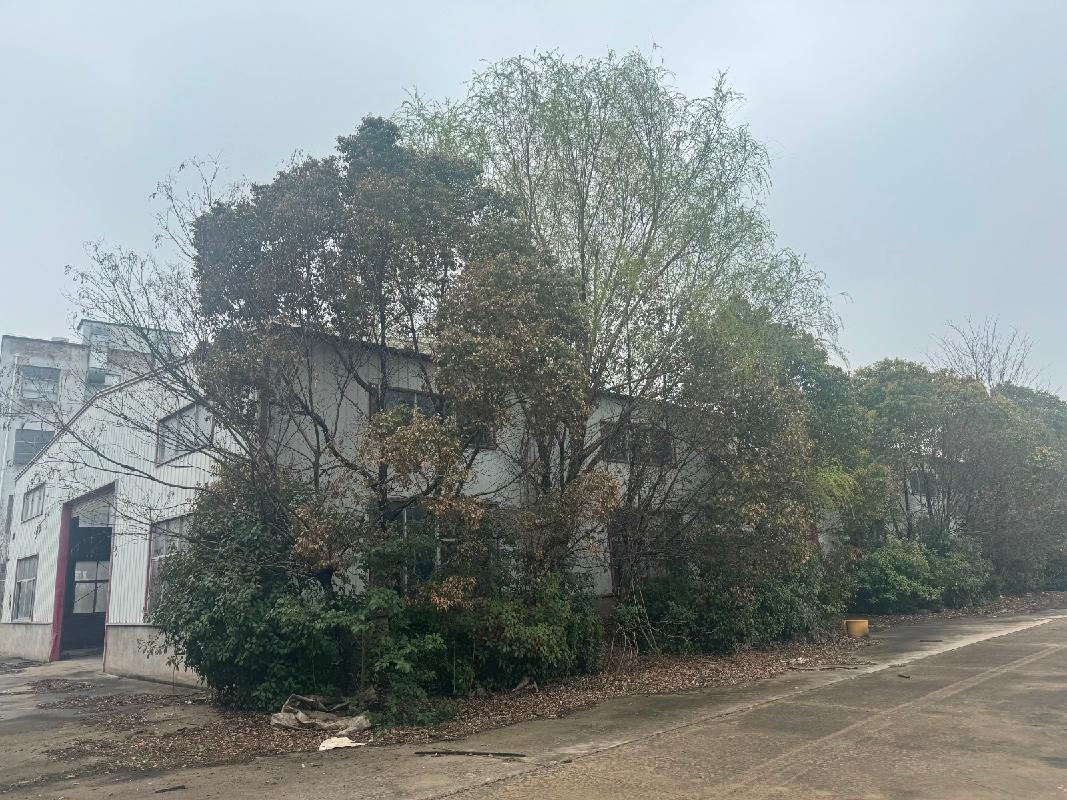 太和经济开发区一处厂区土地使用权、建筑物等资产（一次降价）转让公告(国资监测编号GR2026AH2001602)