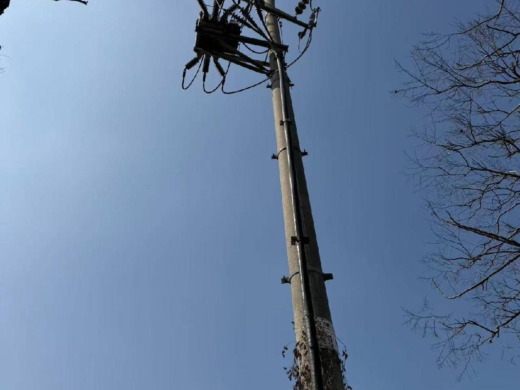 架空绝缘导线、电力电缆等一批废旧资产转让公告(国资监测编号GR2026JS2001855)