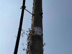架空绝缘导线、电力电缆等一批废旧资产转让公告(国资监测编号GR2026JS2001855)