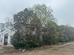 太和经济开发区一处厂区土地使用权、建筑物等资产（一次降价）转让公告(国资监测编号GR2026AH2001602)