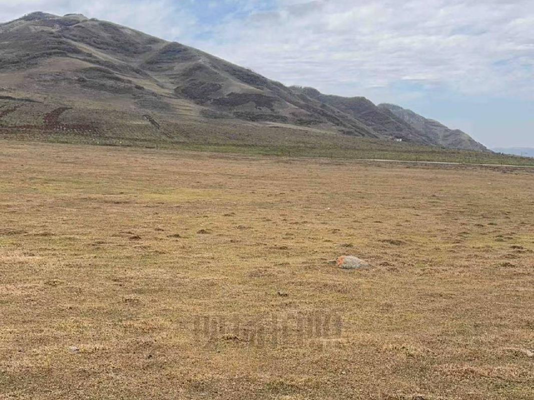 岷县岷州文旅发展(集团)有限公司 岷山种畜场土地租赁（2026年第一批）公告（第六次）