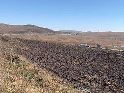 岷县岷州文旅发展(集团)有限公司 岷山种畜场土地租赁（2026年第一批）公告（第六次）