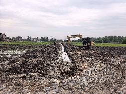 芜湖市弋江区火龙街道善瑞村约400亩土地经营权出租公告