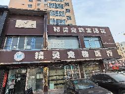 甘肃省定西市安定区南大街B8号B8幢商铺1层1003室、2层2003室房产转让项目