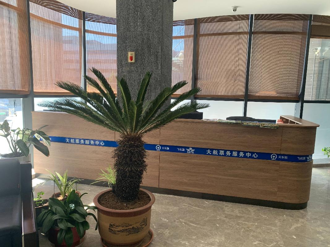 赤峰市新城区昭乌达酒店一楼大厅（原航空售票点）出租（年租金底价12000.00元，租期3年）(国资监测编号GR2026NM1001817)