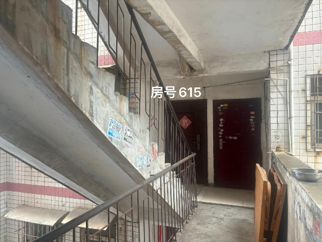 耒阳市蔡子池街道办事处五一路1幢615(实勘为五一东路98号四单元602号房)(国资监测编号GR2026HN1000943)