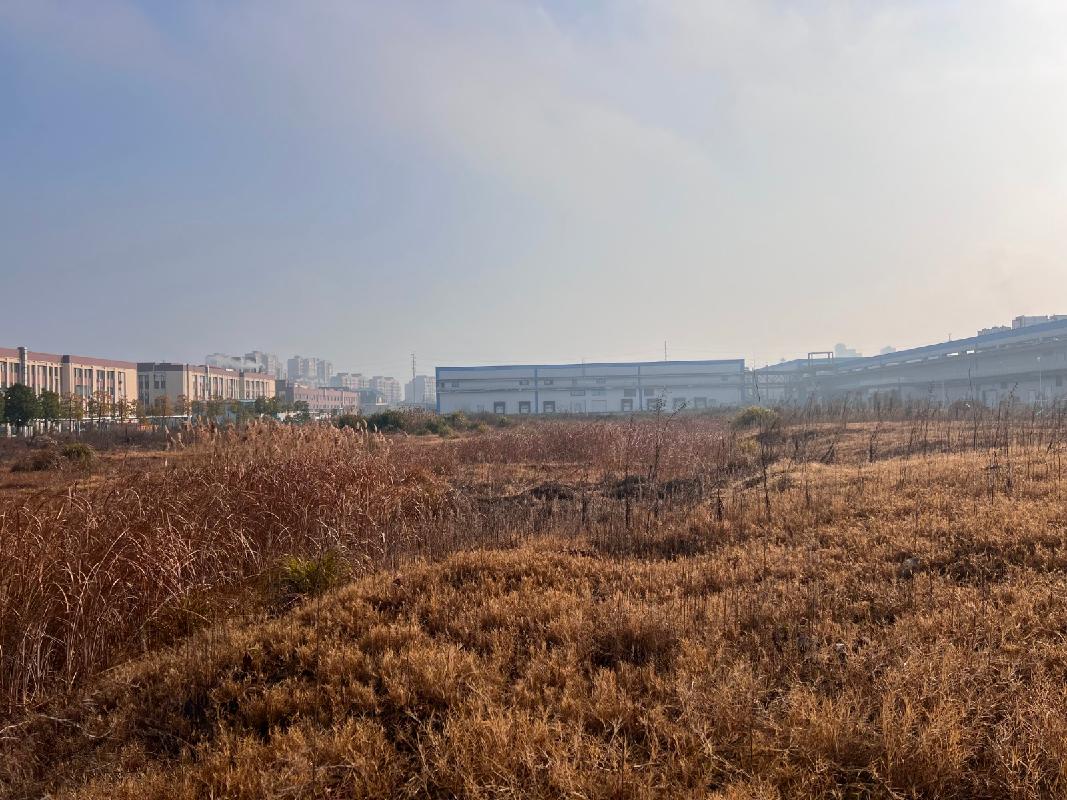 广州酒家集团利口福（湘潭）食品有限公司湘潭县易俗河镇湘南路以东、山塘路以南一处面积为10000㎡的工业用地(国资监测编号GR2026HN1000945)