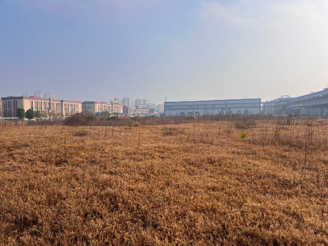 广州酒家集团利口福（湘潭）食品有限公司湘潭县易俗河镇湘南路以东、山塘路以南一处面积为10000㎡的工业用地(国资监测编号GR2026HN1000945)
