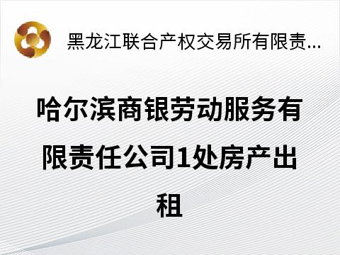 哈尔滨商银劳动服务有限责任公司1处房产出租公告(国资监测编号GR2026HL2002129)