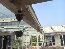 江苏省绿色建筑博览园梦想居拆除项目公告(国资监测编号GR2026JS2001725)
