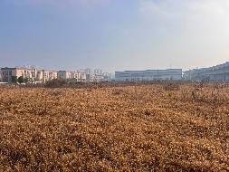 广州酒家集团利口福（湘潭）食品有限公司湘潭县易俗河镇湘南路以东、山塘路以南一处面积为10000㎡的工业用地(国资监测编号GR2026HN1000945)