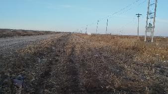 翁牛特旗大兴农场向阳社区1宗约36亩四荒地经营权出租（租金底价45000元/30年，租赁期限自签订合同之日起30年）