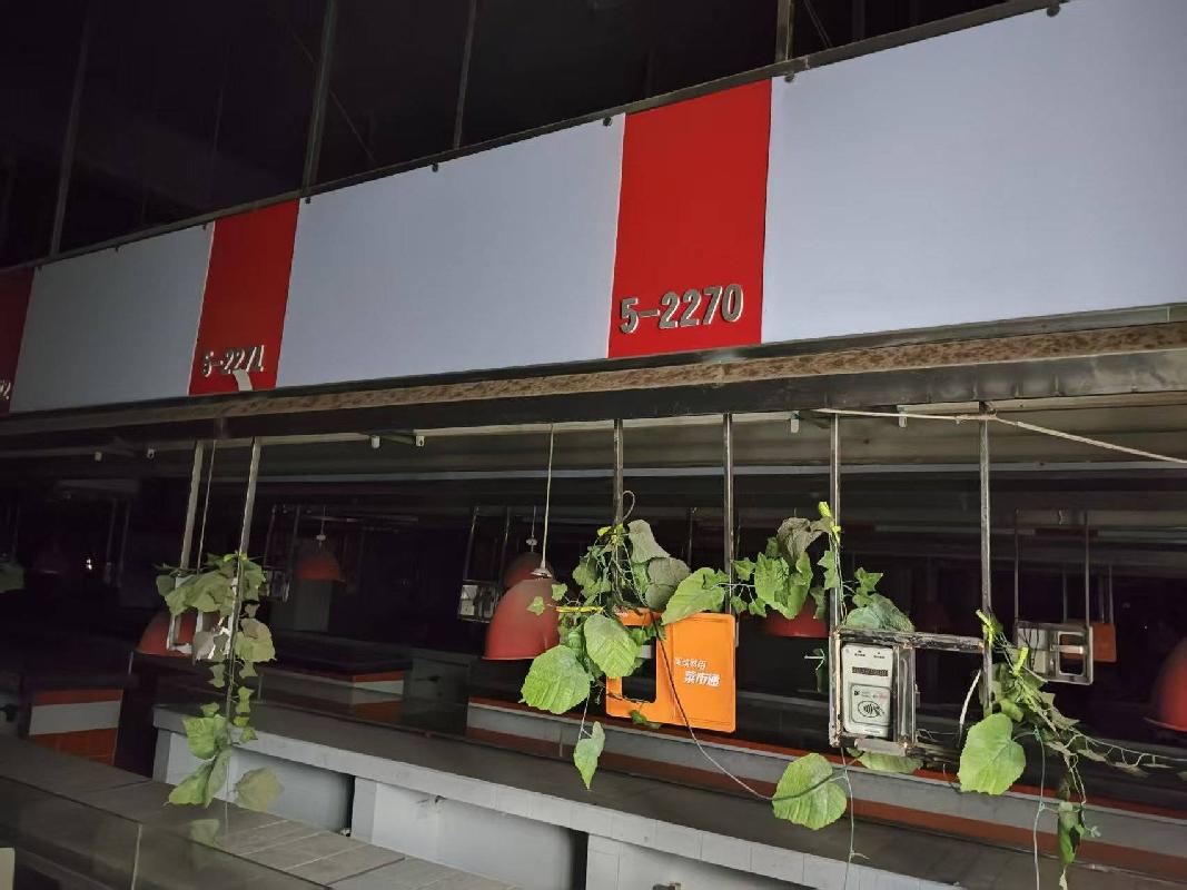 标的2：广西壮族自治区钦州市钦南区南珠西大街与木井路交叉口东南160米的钦州市泰和盛世名门二层3-2002、5-2139等36套商铺