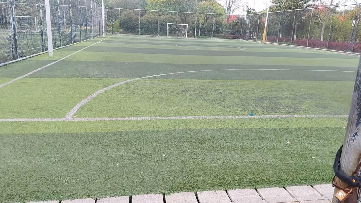 芜湖市青少年活动中心室外五人制足球场地出租公告(国资监测编号GR2026AH2001015)